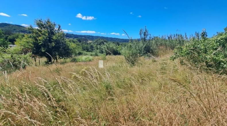 Orense - Orense - 1566m2