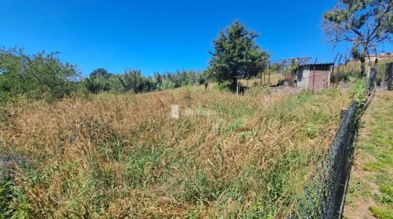 Orense - Orense - 1566m2