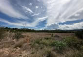 Finca rústica en venda a la España, Alberic, ref.: TR297674 foto