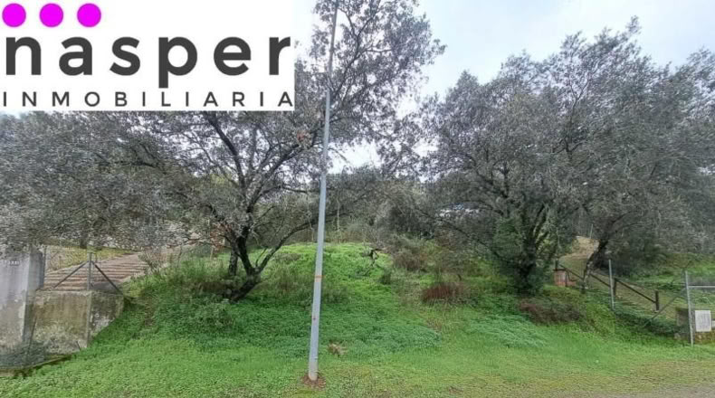 Seville - Guillena - 1230m2