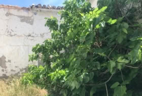 La Puebla de Almoradiel 304&nbsp;m² 