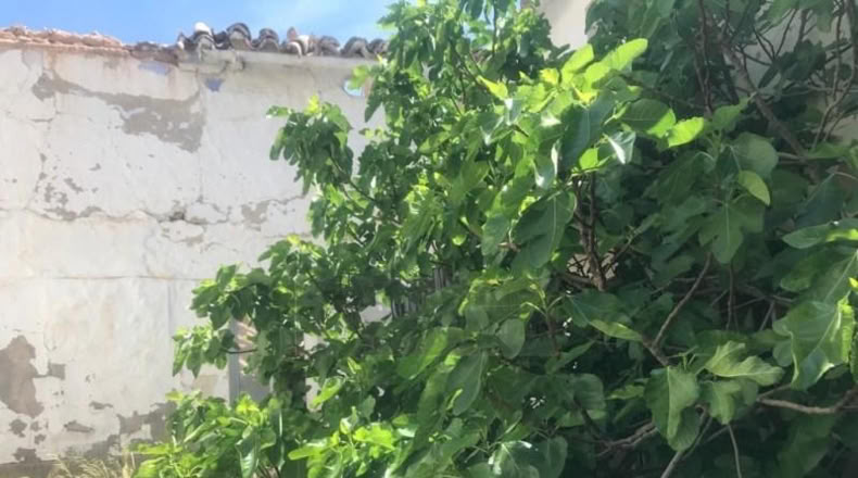 Toledo - La Puebla de Almoradiel - 304m2
