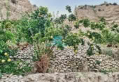 Terreno no urbanizable en venta en la España, Jijona, ref: TR126772 foto