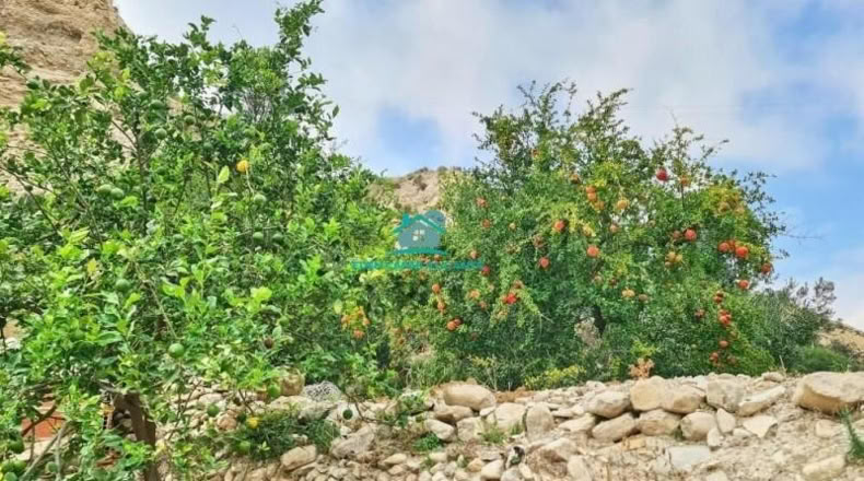 Alicante - Jijona - 5417m2