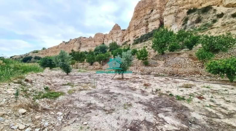 Alicante - Jijona - 5417m2