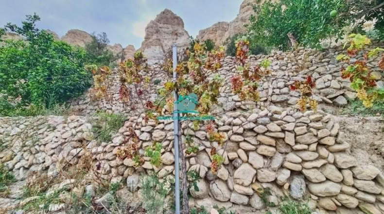 Alicante - Jijona - 5417m2
