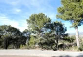 Sòl urbà en venda a la España, la Bisbal del Penedès, ref.: TR127771 foto