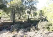 Sòl urbà en venda a la España, la Bisbal del Penedès, ref.: TR127771 foto