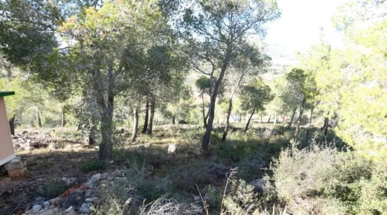Tarragona - la Bisbal del Penedès - 623m2