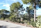 Sòl urbà en venda a la España, la Bisbal del Penedès, ref.: TR127771 foto