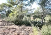 Sòl urbà en venda a la España, la Bisbal del Penedès, ref.: TR127771 foto