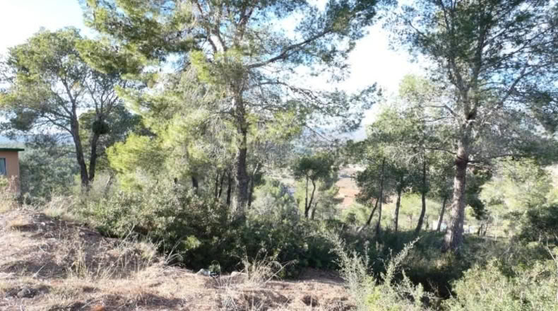 Tarragona - la Bisbal del Penedès - 623m2