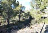 Sòl urbà en venda a la España, la Bisbal del Penedès, ref.: TR127771 foto