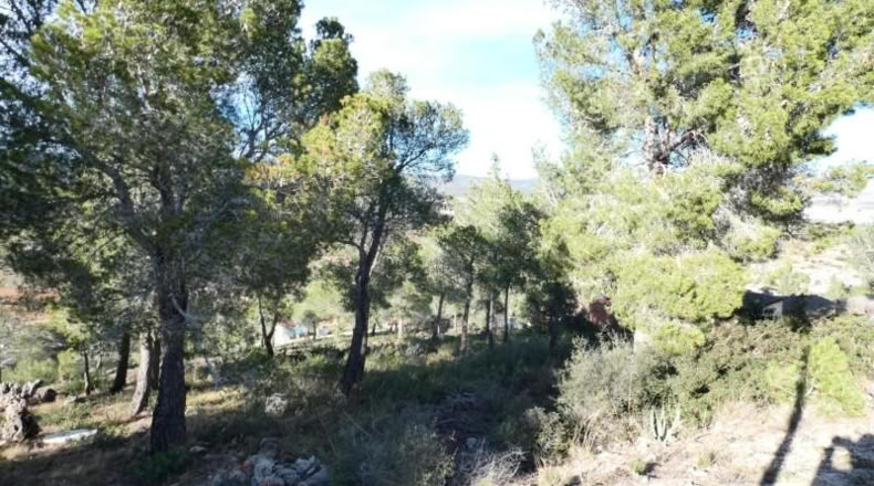 Tarragona - la Bisbal del Penedès - 623m2