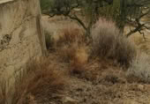 Terreny no urbanitzable en venda a la España, Riudecanyes, ref.: TR127873 foto