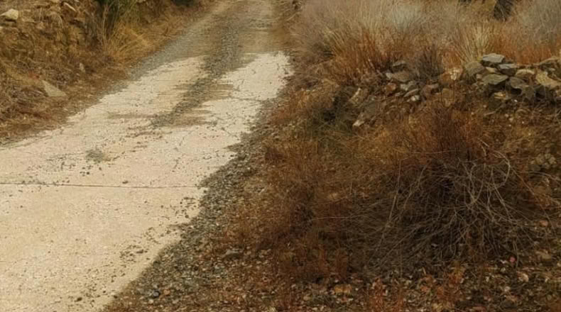 Tarragona - Riudecanyes - 10823m2