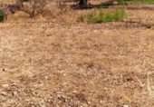 Terreny no urbanitzable en venda a la España, Riudecanyes, ref.: TR127873 foto