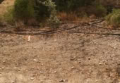 Terreny no urbanitzable en venda a la España, Riudecanyes, ref.: TR127873 foto
