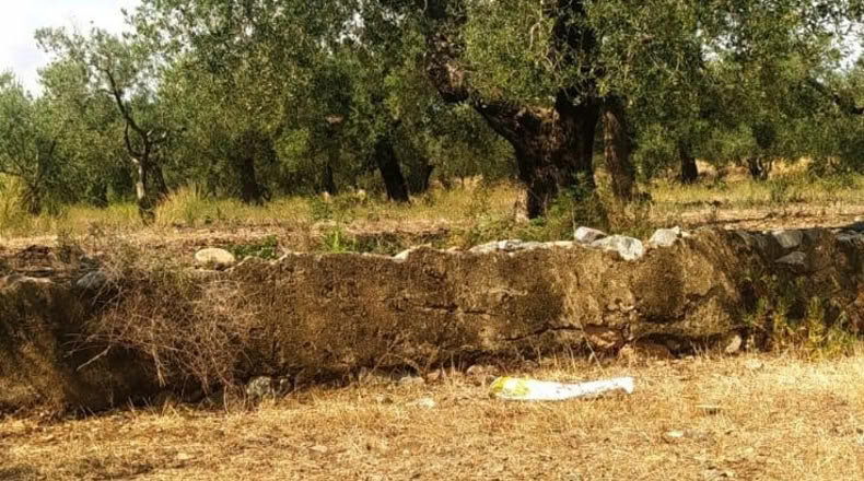 Tarragona - Riudecanyes - 10823m2