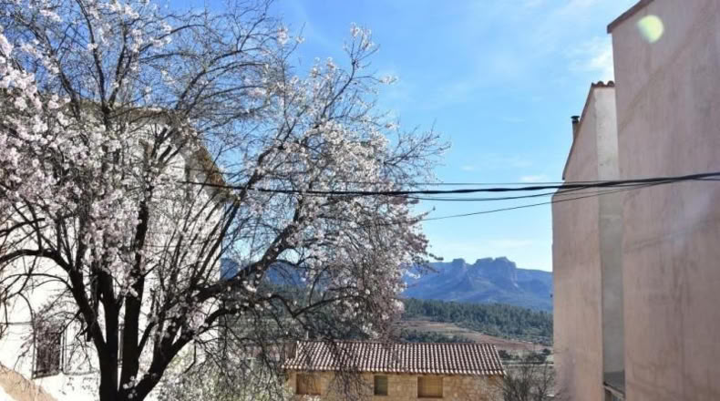 Tarragona - Horta de Sant Joan - 161m2