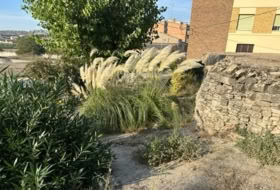 els Hostalets 509&nbsp;m²