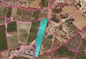 Terreno no urbanizable en venta en la España, Santa Bàrbara, ref: TR170383 foto