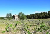 Xalet independent amb terreny en venda a la España, Vall-de-roures, ref.: TR293589 foto