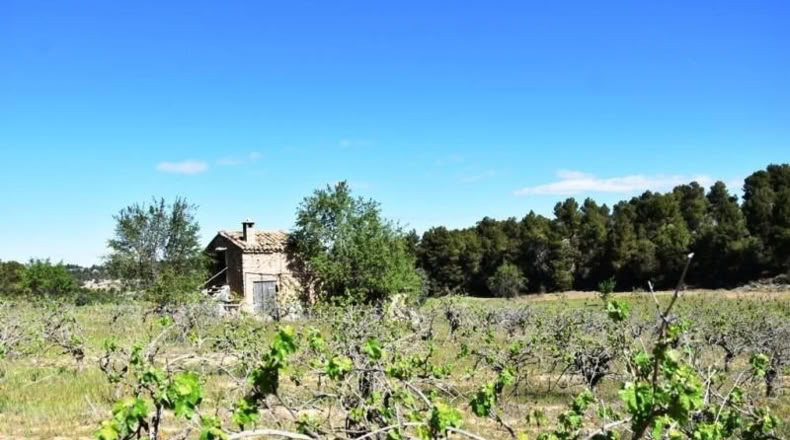 Теруэль - Vall-de-roures - 23795m2