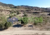Non-developable land for sale on España, Lorca, ref: TR130958 photo
