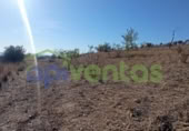Non-developable land for sale on España, Lorca, ref: TR130958 photo