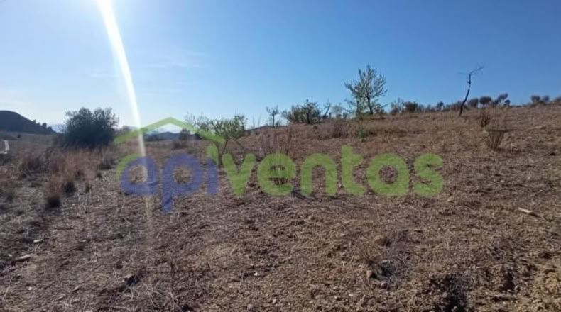 Murcia - Lorca - 25660m2