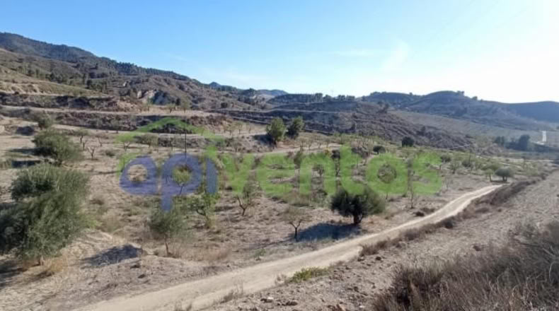 Murcia - Lorca - 25660m2