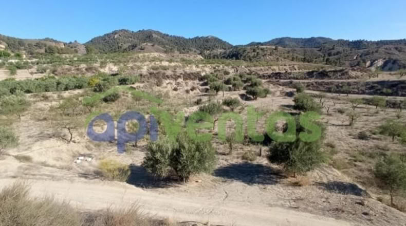 Murcia - Lorca - 25660m2