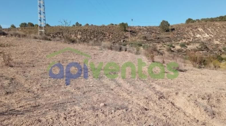 Murcia - Lorca - 25660m2