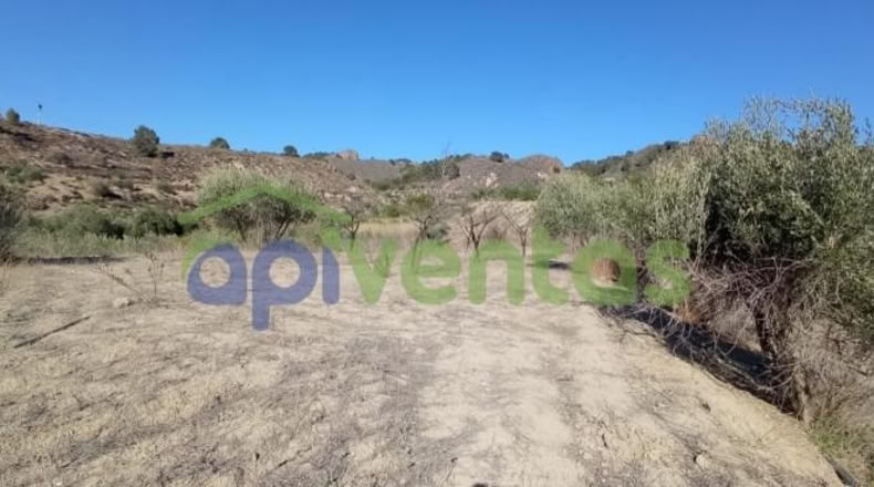 Murcia - Lorca - 25660m2