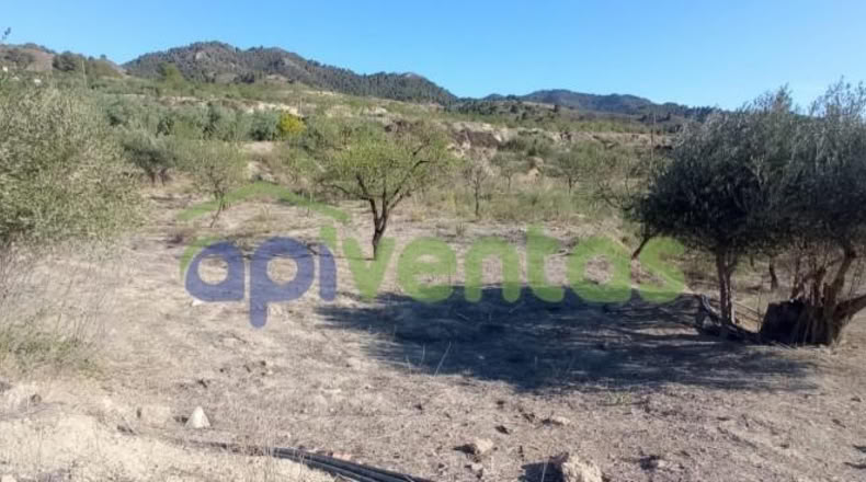 Murcia - Lorca - 25660m2