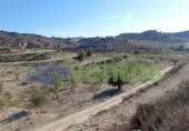 Non-developable land for sale on España, Lorca, ref: TR130958 photo