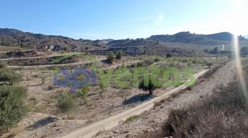 Murcia - Lorca - 25660m2