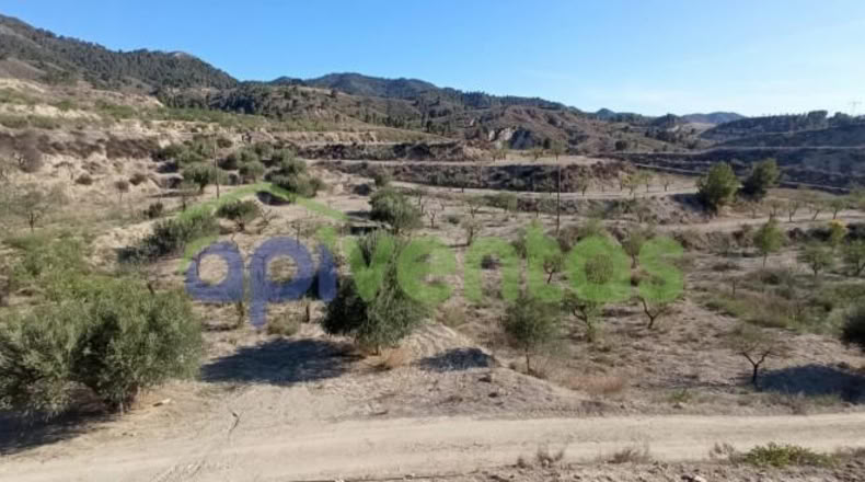 Murcia - Lorca - 25660m2