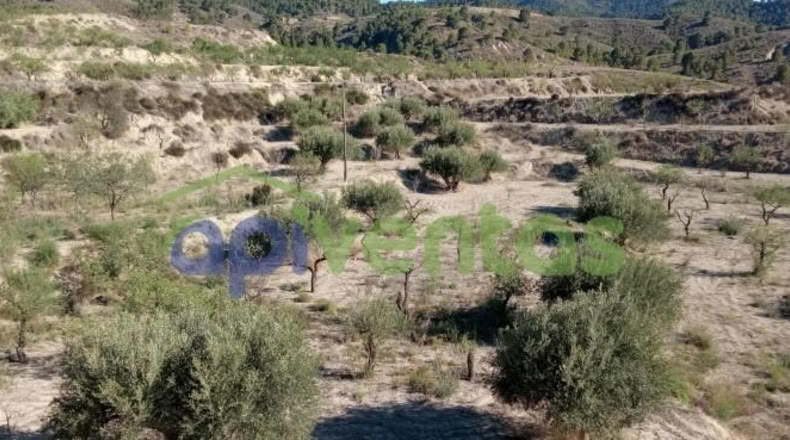 Murcia - Lorca - 25660m2