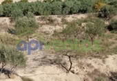 Non-developable land for sale on España, Lorca, ref: TR130958 photo