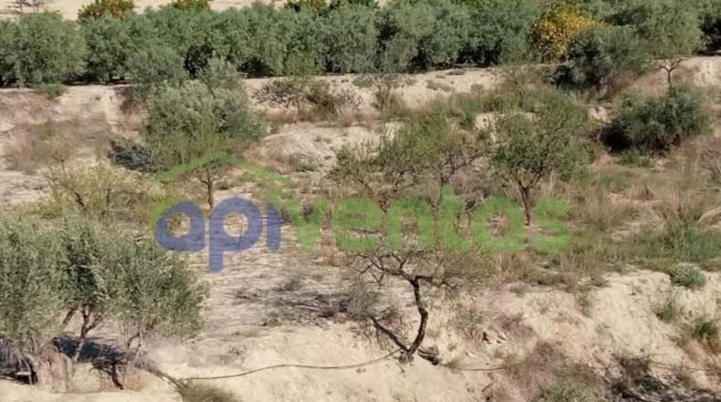 Murcia - Lorca - 25660m2