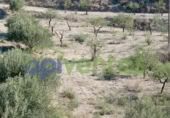 Non-developable land for sale on España, Lorca, ref: TR130958 photo
