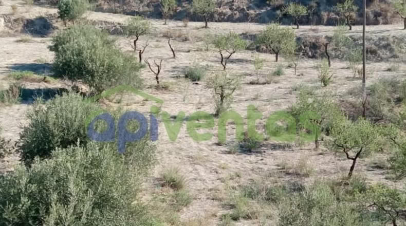Murcia - Lorca - 25660m2