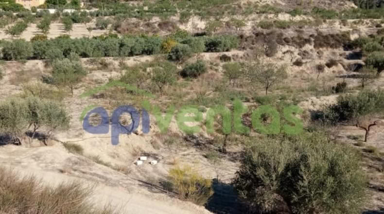 Murcia - Lorca - 25660m2