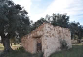 Detached villa with land for sale on España, Arnes, ref: TR293326 photo