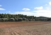 Detached villa with land for sale on España, Arnes, ref: TR293326 photo