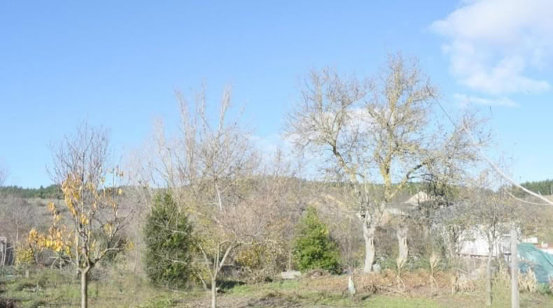 Leon - Ponferrada - 600m2