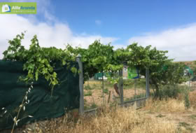 Aranda de Duero 1389&nbsp;m² 