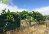 Xalet independent amb terreny en venda a la España, Aranda de Duero, ref.: TR298467 foto